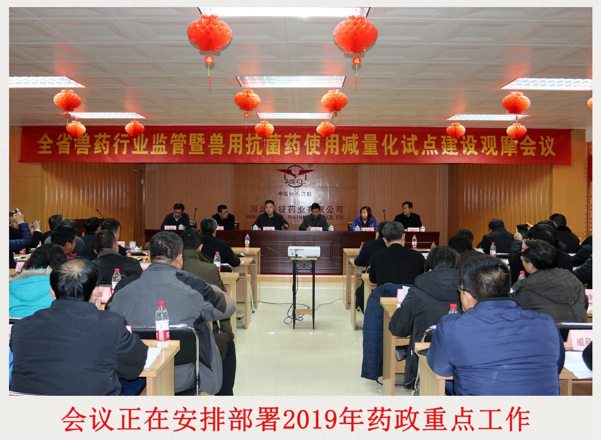 行業監管試點觀摩  遠征“減抗”積極響應