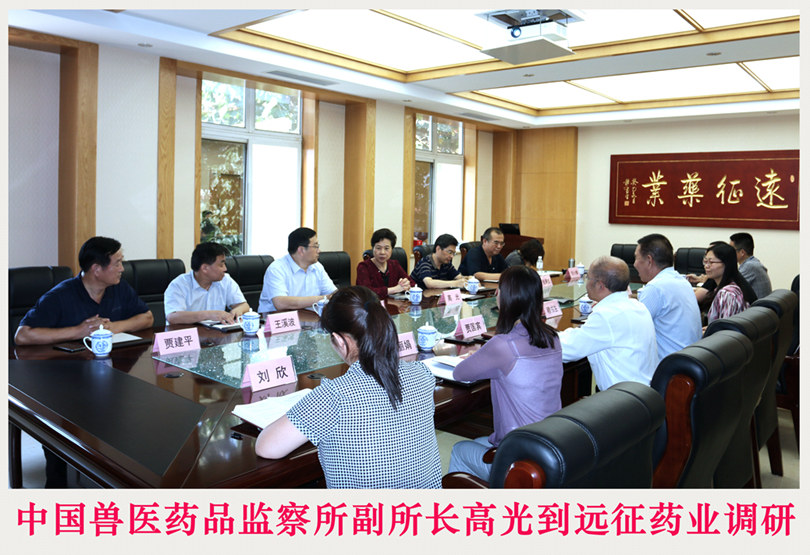 中國獸醫藥品監察所副所長高光到遠征藥業調研